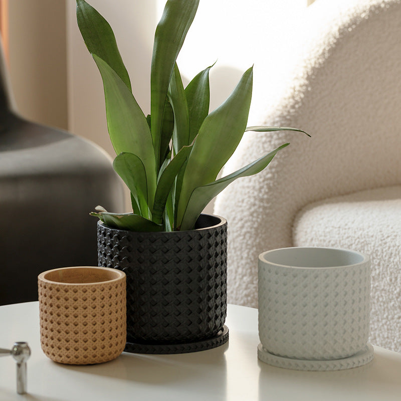Textured Cement Planter with Tray