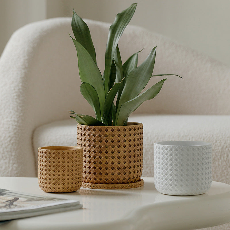 Textured Cement Planter with Tray