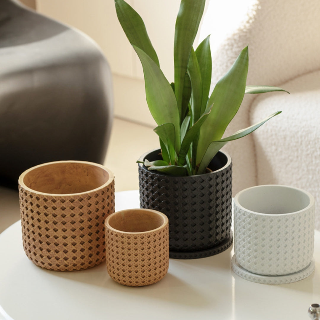Textured Cement Planter with Tray