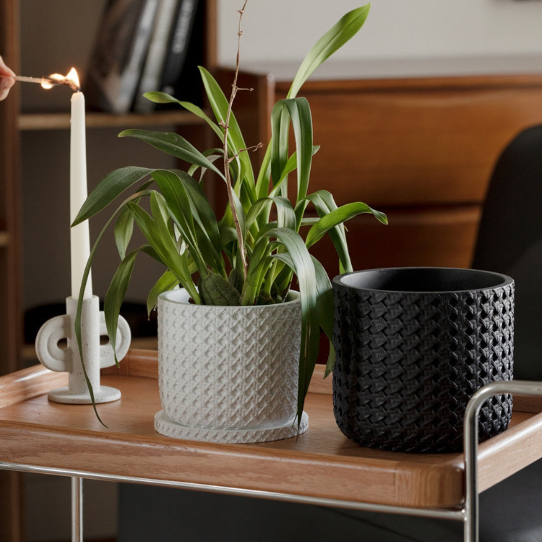 Textured Cement Planter with Tray