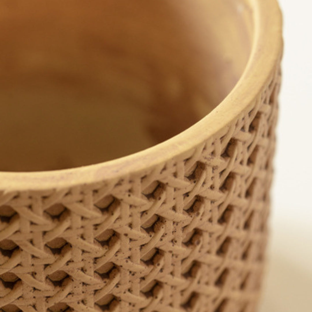 Textured Cement Planter with Tray
