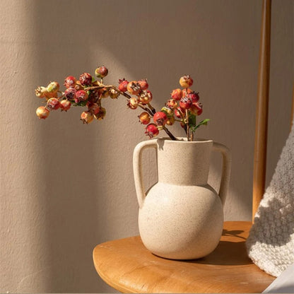 Double Handle Ceramic Vase