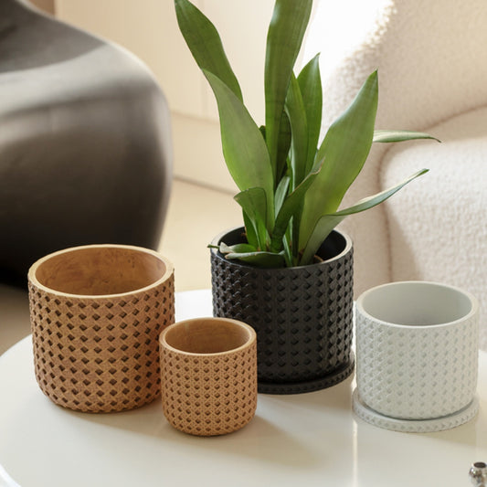 Textured Cement Planter with Tray