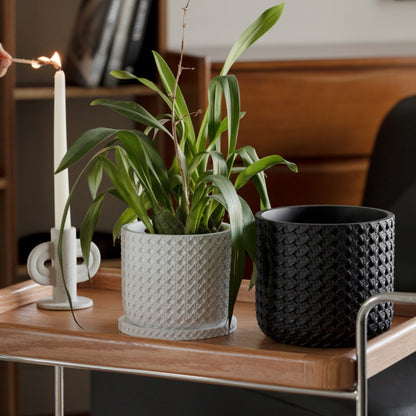 Textured Cement Planter with Tray